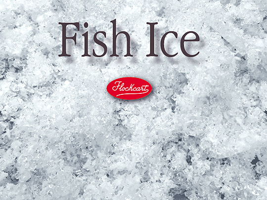 La perfezione del nostro ghiaccio Fish Ice, identico a quello vero delle cassette da pescheria

 