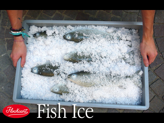 3 Kg. di Fish Ice riempiono una classica cassetta da pesce 