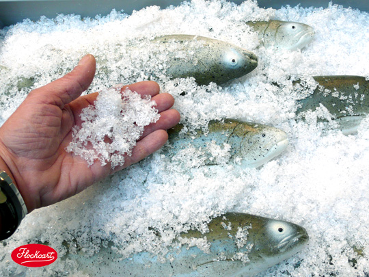 Fish Ice è asciutto, inodore, non ingiallente, riutilizzabile 